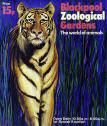 Blackpool Zoo Guide - Tiger