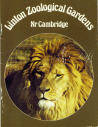 Linton Zoological Gardens Guide 1981 - African Lion