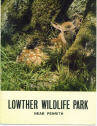 Lowther Wildlife Park Guide 1970 - Deer Fawn