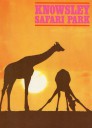 Knowsley Safari Park Guide 1971 - Giraffes