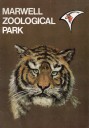 Marwell Zoo 1972 - Tiger